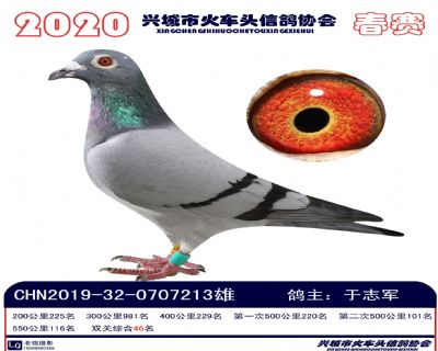 雙關46于志軍