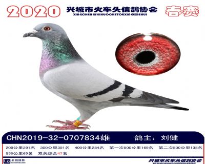 雙關47劉健