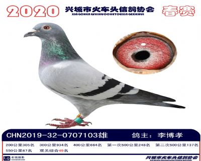 雙關49李博孝