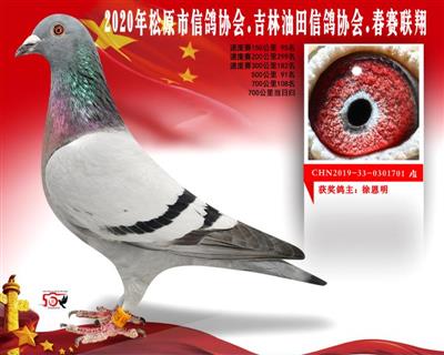 徐恩明成绩鸽