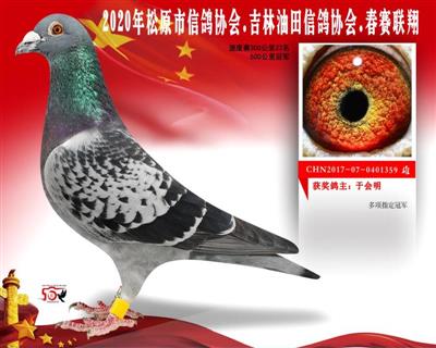 于会明油会500公里冠军