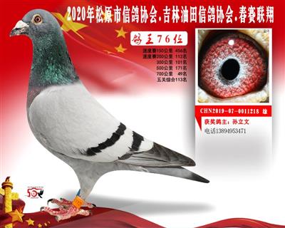 孙立文成绩鸽