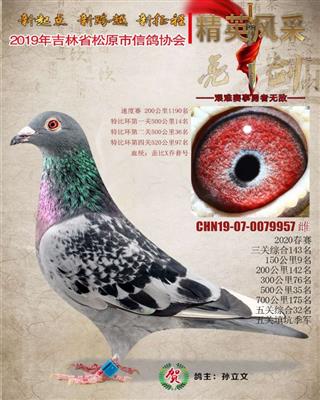 孙立文成绩鸽