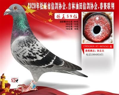 孙立文成绩鸽