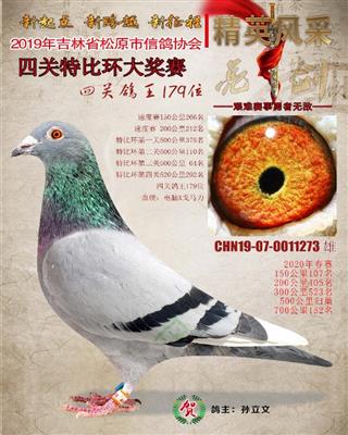 孙立文成绩鸽