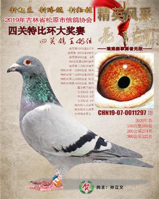 孙立文成绩鸽