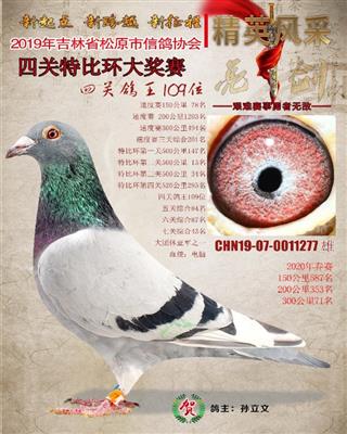 孙立文成绩鸽