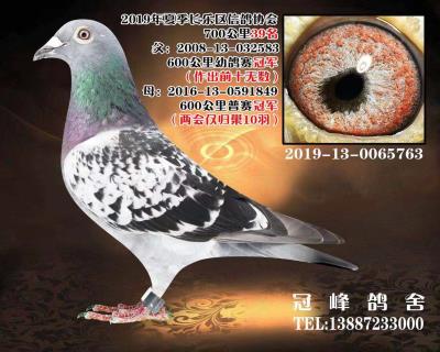 700公里39名(双冠军作出)
