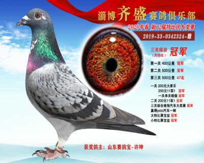淄博齊盛大特比綜合1名