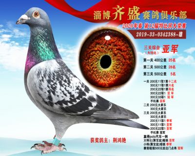 淄博齊盛大特比綜合2名