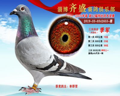 淄博齊盛大特比綜合3名