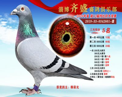 淄博齊盛大特比綜合5名