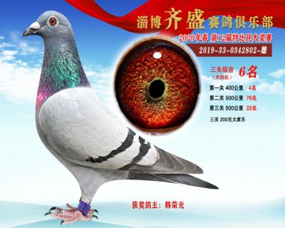 淄博齊盛大特比綜合6名