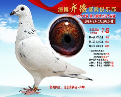 淄博齊盛大特比綜合7名