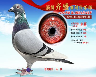 淄博齊盛大特比綜合8名