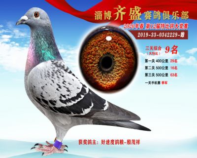 淄博齊盛大特比綜合9名