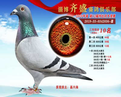 淄博齊盛大特比綜合10名