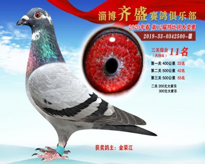 淄博齊盛大特比綜合11名
