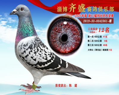 淄博齊盛大特比綜合12名