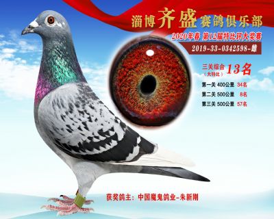 淄博齊盛大特比綜合13名