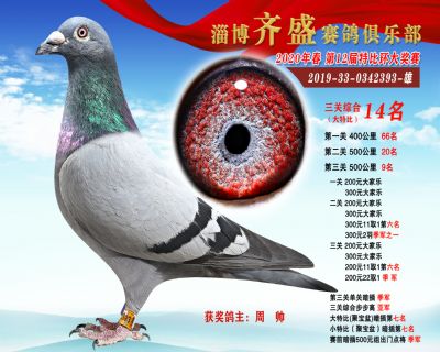 淄博齊盛大特比綜合14名