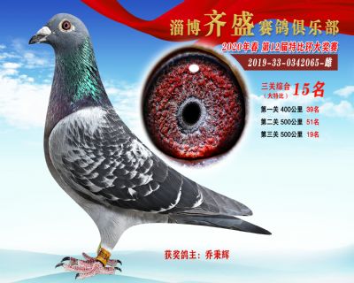 淄博齊盛大特比綜合15名