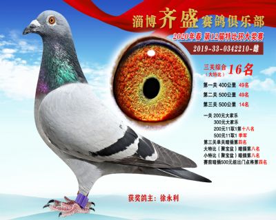淄博齊盛大特比綜合16名