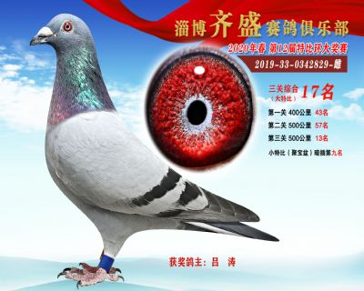 淄博齊盛大特比綜合17名
