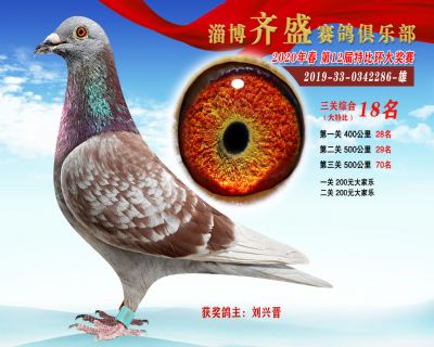 淄博齊盛大特比綜合18名