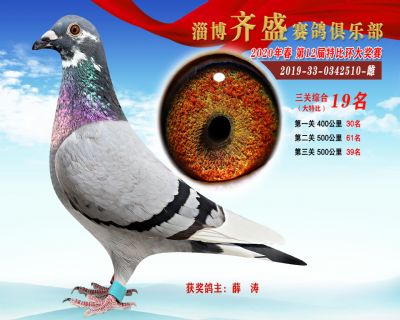 淄博齊盛大特比綜合19名