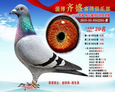 淄博齊盛大特比綜合20名