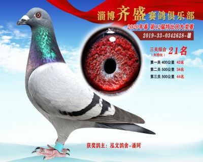 淄博齊盛大特比綜合21名