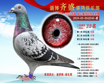 淄博齊盛大特比綜合22名