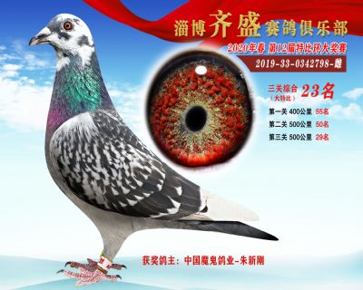 淄博齊盛大特比綜合23名