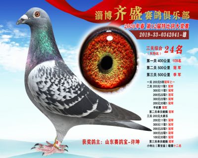 淄博齊盛大特比綜合24名