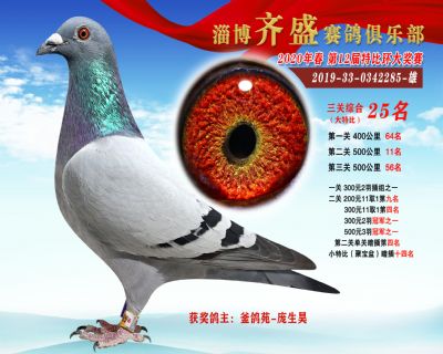 淄博齊盛大特比綜合25名