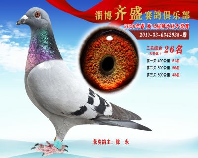淄博齊盛大特比綜合26名