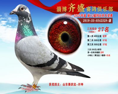 淄博齊盛大特比綜合27名
