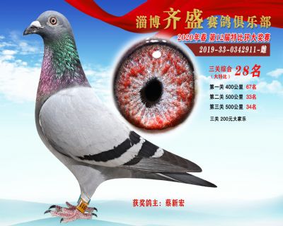 淄博齊盛大特比綜合28名