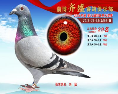淄博齊盛大特比綜合29名
