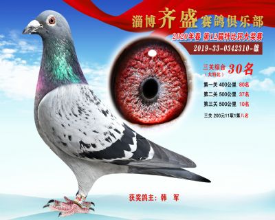 淄博齊盛大特比綜合30名