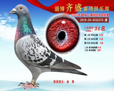 淄博齊盛大特比綜合31名