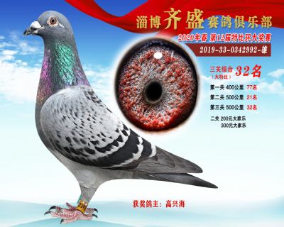 淄博齊盛大特比綜合32名