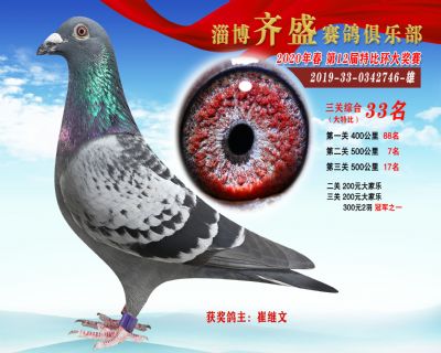 淄博齊盛大特比綜合33名