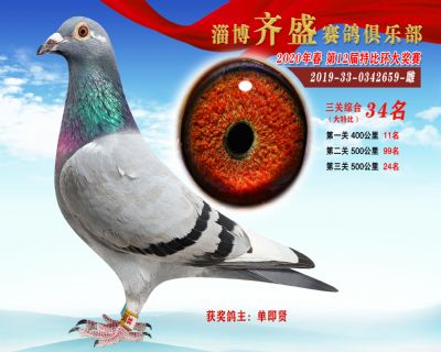 淄博齊盛大特比綜合34名