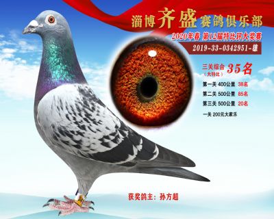 淄博齊盛大特比綜合35名