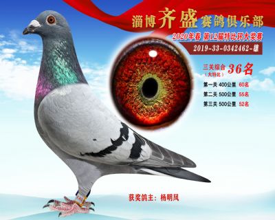 淄博齊盛大特比綜合36名