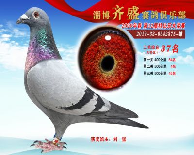淄博齊盛大特比綜合37名
