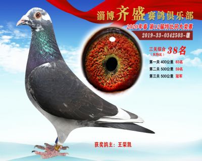 淄博齊盛大特比綜合38名