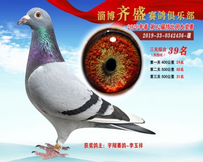 淄博齊盛大特比綜合39名
